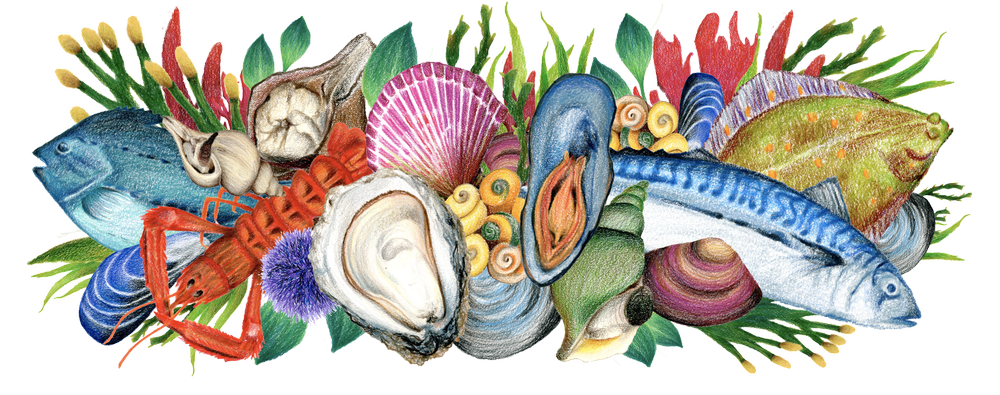 Noma Seafood Season Promo Poster | Work — FELICIA LIANG